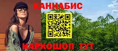 мдпв Обнинск