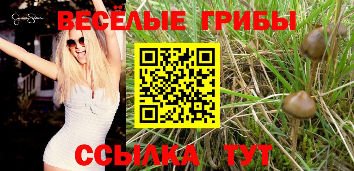 Псилоцибиновые грибы ЛСД  Вход с VPN  Ржев 